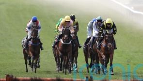 Racing abandoned at Sedgefield following inspection after two fatalities
