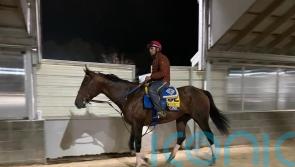 History awaits for unbeaten Flightline