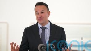 Tech companies expanded ‘a little too quickly’, Ireland’s deputy leader says