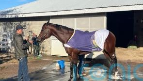 Ward banking on a Golden swansong for Pal