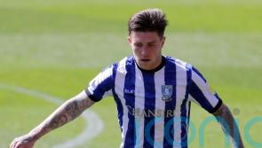 Sheffield Wednesday ease into FA Cup second round with victory over Morecambe