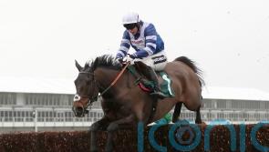 Frodon and Frost unstoppable again with Badger Beer celebration