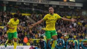 Norwich keep up promotion bid with win at Rotherham