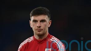 Mark Hudson hopes Cardiff match-winner Mark Harris gets Wales World Cup call