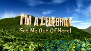 I’m A Celebrity returns to the Australian jungle with high-profile line-up