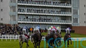 Heavy rain curtails Sandown action