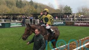 Callaghan earns Cork plaudits after Captain Kangaroo success