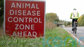 Measure to keep all poultry inside to tackle bird flu comes into force