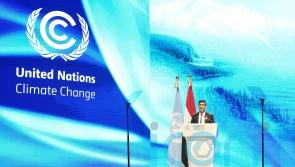 Overseas debut: Rishi Sunak’s key moments at Cop27
