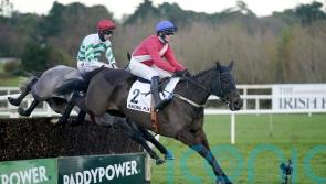 Ferny Hollow and Gentleman De Mee set for weekend return