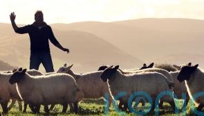 Farmers need more clarity over funding future, rural affairs minister told