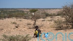 African countries face ‘economic devastation’ from climate hit to GDP