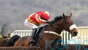 No place like home – Coole Cody heading back to Cheltenham