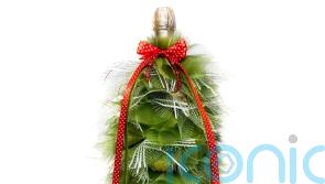 The best boozy gifts to give this Christmas