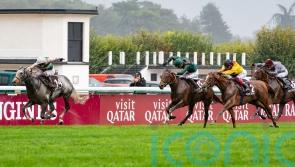 Alpinista retired after picking up minor injury in Japan Cup preparation