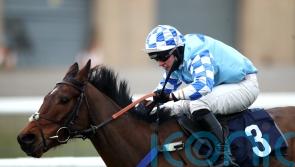 Nick Kent has Haydock in mind for promising Erne River