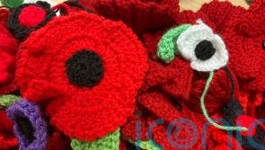 Hundreds of knitted poppies to grace buildings of hospital trust