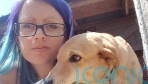 Animal lover rescues a disabled, blind and abused street dog from Egypt who now lives happily at her Essex home