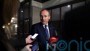Micheal Martin: ‘Meat on bone’ needed to resolve Northern Ireland Protocol
