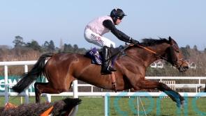 Mouse Morris hoping for power-packed display from French Dynamite