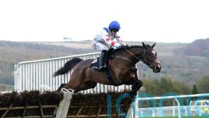 Hermes Allen blows away Ballymore field at Cheltenham