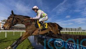 Ricci rules Royale Pagaille out of Betfair Chase