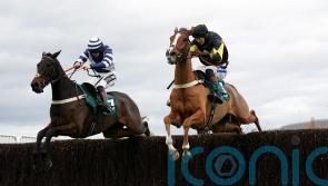Joe Tizzard lands first Cheltenham winner with Amarillo Sky