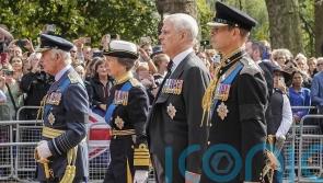 King asks for change in law to allow Anne and Edward to deputise