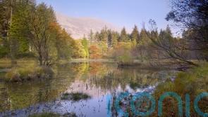 Wild landscape in Lake District designated as ‘super’ national nature reserve
