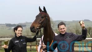 De Bromhead following tried and tested route with Gold Cup hero