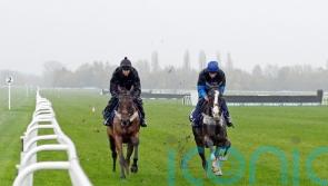 Tizzard believes Coral Gold Cup-bound Fiddlerontheroof ‘has a big one in him’
