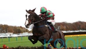 Hamiltons have next step to deliberate with Tommy’s Oscar