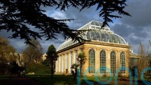 Novel inspired by Edinburgh’s botanic gardens wins Waterstones title