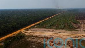 Brazilian president-elect pledges ‘big fight against deforestation’