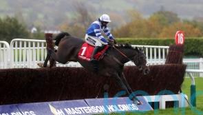 Frodon on course for Haydock, with ground key to weekend plans for Nicholls