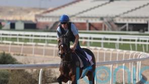Insinuendo out for a fairytale farewell in Bahrain Trophy
