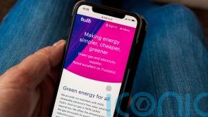 Cost of Bulb bailout rises to £6.5bn