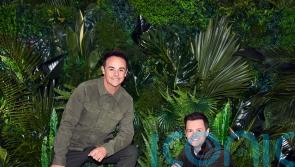 Voting to save contestants on I’m A Celebrity… Get Me Out Of Here! opens