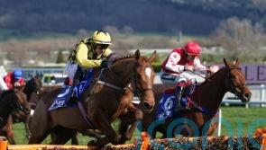 Mullins runs three in pursuit of further Morgiana glory