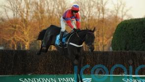 Sprinter Sacre set for starring role on Tingle Creek day