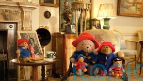 Paddington pictured around palace ahead of Camilla donating tributes to charity