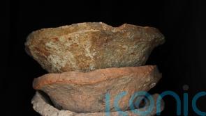 Study finds new information on food culture in world’s first cities in 3500 BC