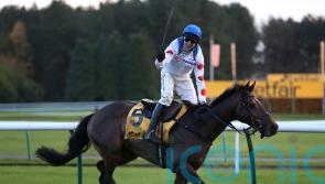 Protektorat stars with comfortable Betfair Chase verdict