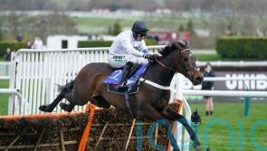 Henderson considering multiple options for Constitution Hill return