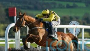 State Man puts his case in Morgiana Hurdle cruise