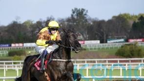 King George bid seems unlikely for Galopin Des Champs