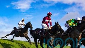 Delta made to work for Punchestown win