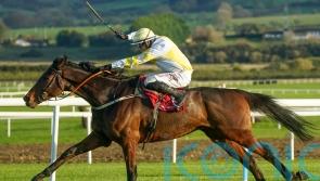 Doyle dreaming big with Monbeg Park