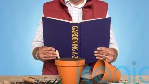 9 of the best gardening books to give this Christmas