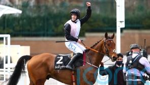Bob Olinger staying over hurdles for Christmas target at Leopardstown